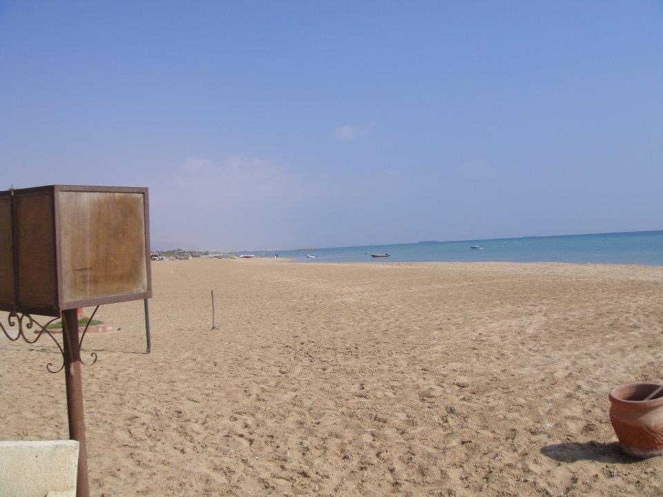 Red Sea Diving